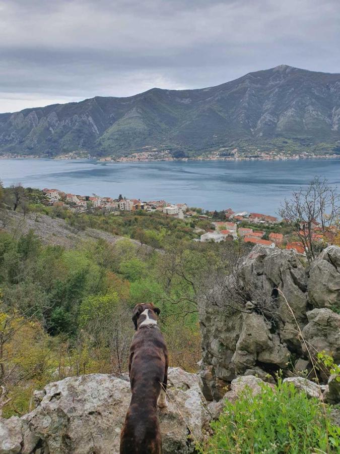 Home Of Laurel Котор Екстериор снимка